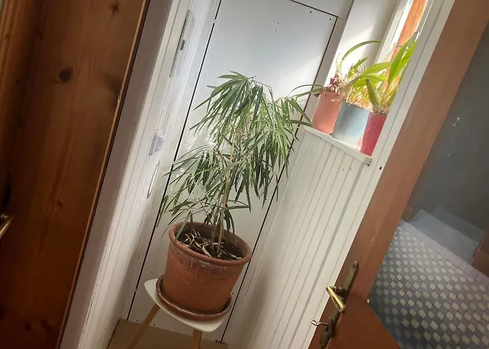 Pinkdeer Balcony - Next To Photo Point *