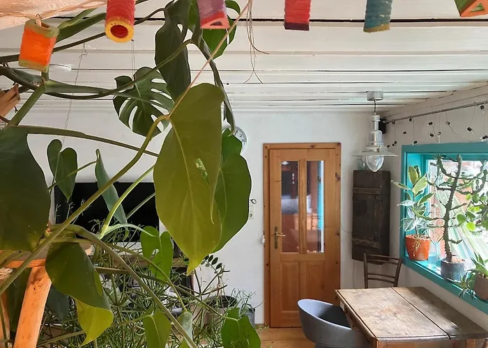 Pinkdeer Balcony - Next To Photo Point *